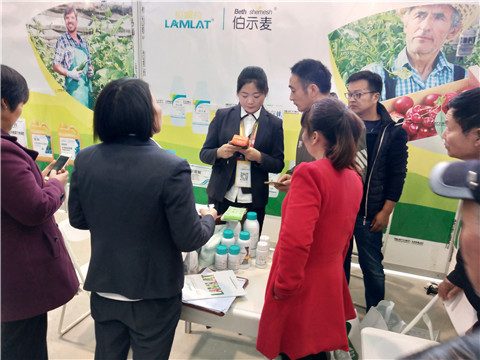 楊凌農高會,拉姆拉