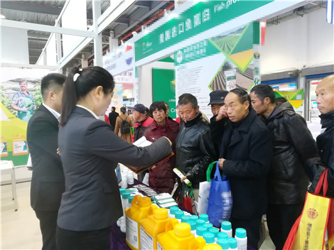 楊凌農高會,拉姆拉