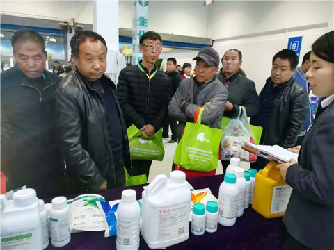 楊凌農高會,拉姆拉