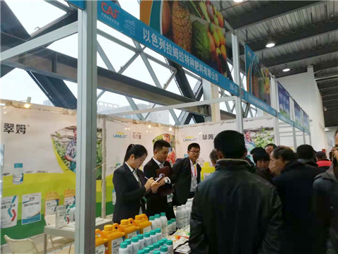 楊凌農高會,拉姆拉