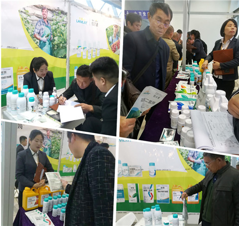 楊凌農高會,拉姆拉