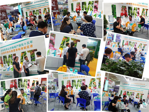 新疆，植保會，拉姆拉，翠姆，伯示麥