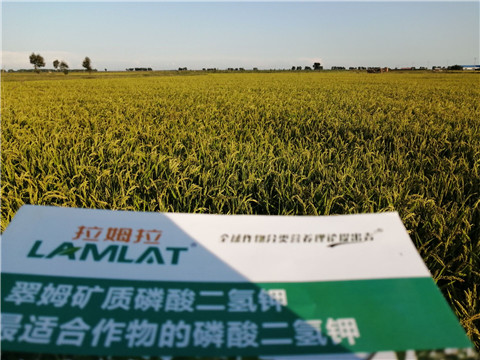 葉面肥，磷酸二氫鉀