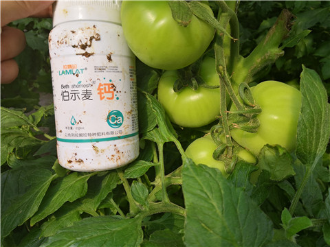 葉面肥，磷酸二氫鉀，鈣肥