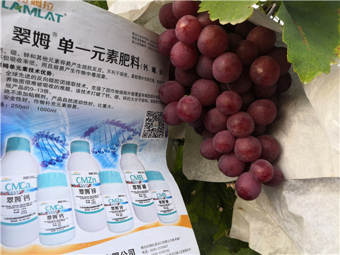 水溶肥，鈣肥，硼肥