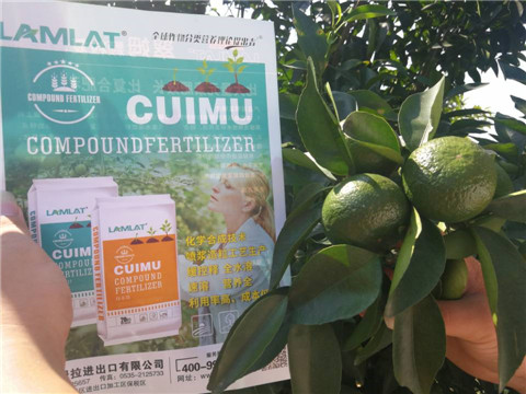 菌劑，水溶肥，