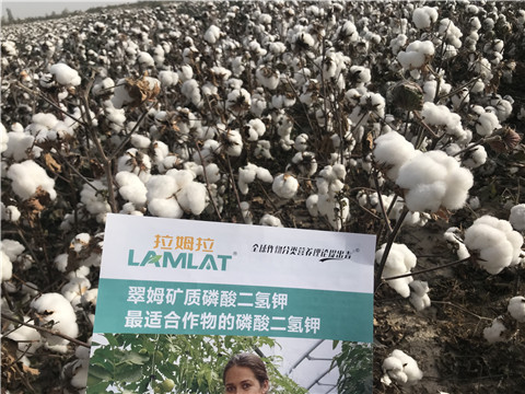 水溶肥，根碧多，生物菌劑