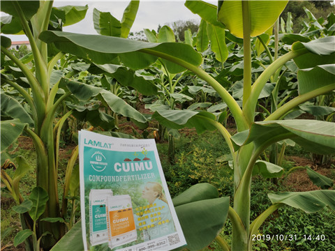 葉面肥，微生物菌劑，硼肥，水溶肥