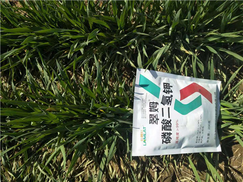 磷酸二氫鉀，