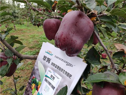 微生物菌劑，