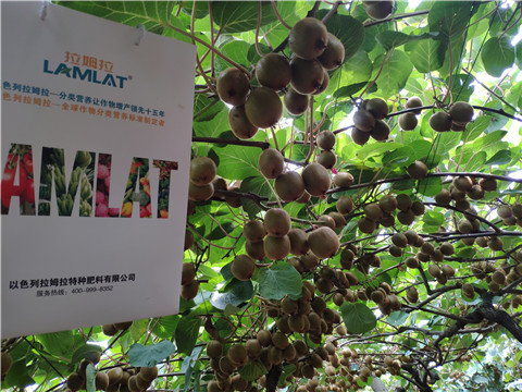 磷酸二氫鉀，葉面肥