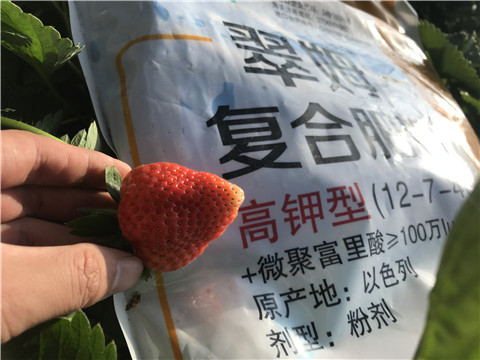 水溶，拉姆拉，翠姆