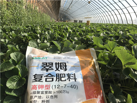 水溶，拉姆拉，翠姆