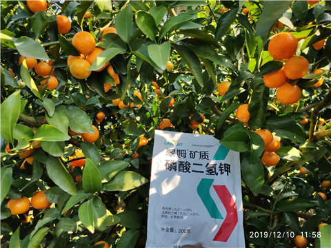 水溶肥，磷酸二氫鉀