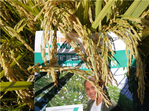 水溶肥，磷酸二氫鉀，