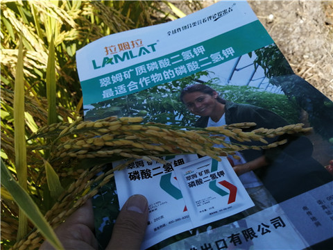 水溶肥，磷酸二氫鉀，