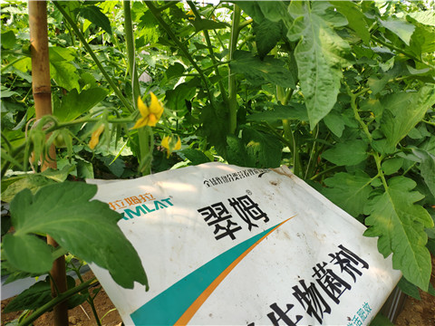 微生物菌劑，