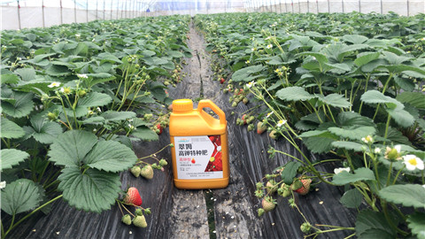 水溶肥，翠姆