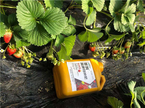 水溶肥，拉姆拉