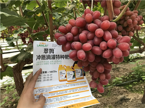 沖施肥，拉姆拉