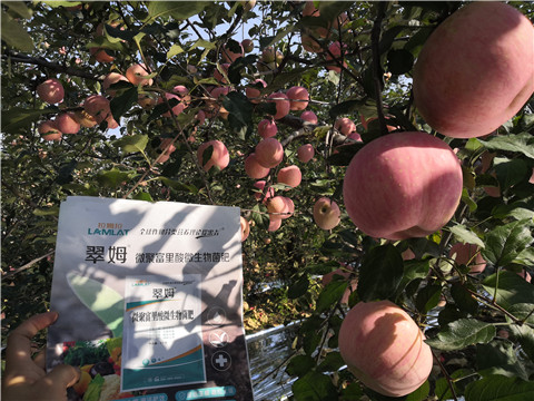 水溶肥，磷酸二氫鉀，微生物菌劑