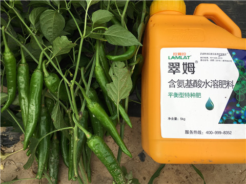 根碧多，微生物菌，葉面肥