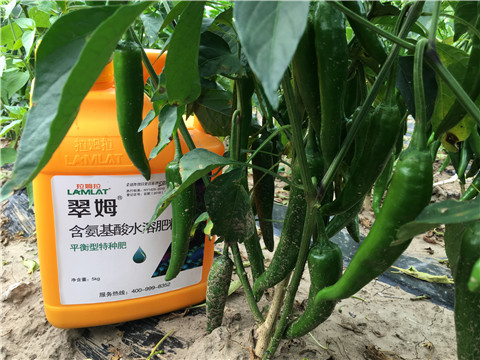 根碧多，微生物菌，葉面肥