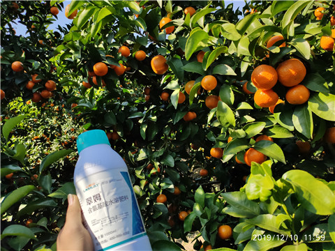 硼肥，拉姆拉