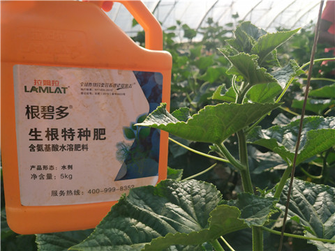 拉姆拉，根碧多，微生物菌劑