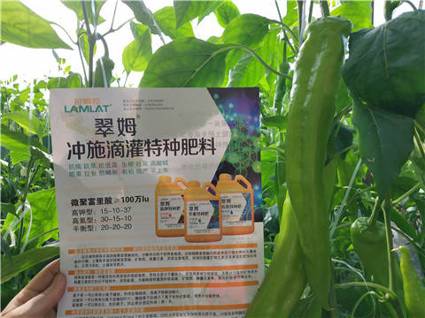 水溶肥，硼肥