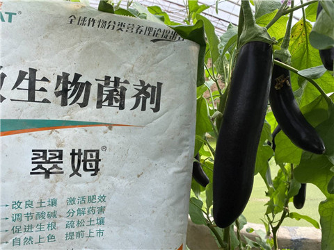 微生物菌劑，拉姆拉