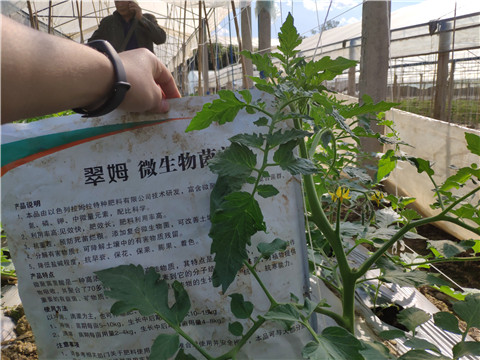 微生物菌劑 ，拉姆拉翠姆