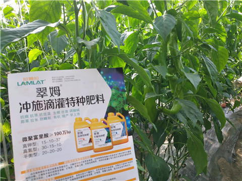 水溶肥，拉姆拉