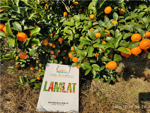 沖施肥，拉姆拉