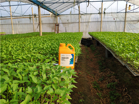 水溶肥，