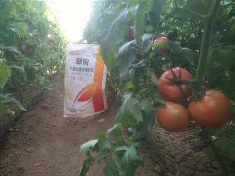 大量元素水溶肥，拉姆拉 