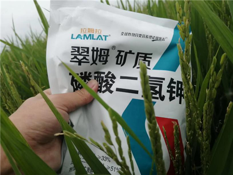 農資經銷商，拉姆拉，磷酸二氫鉀