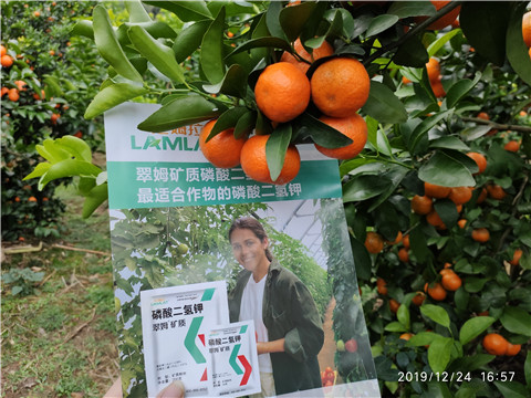 磷酸二氫鉀，葉面肥