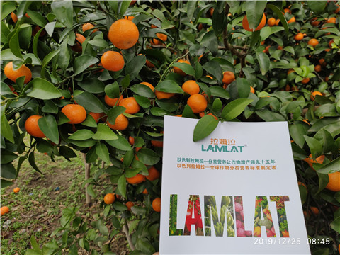 水溶肥，根碧多