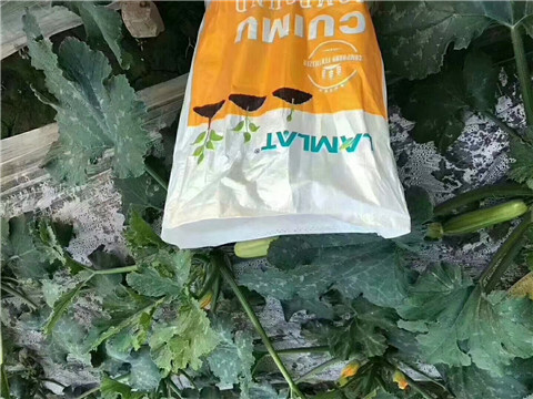 水溶肥，拉姆拉