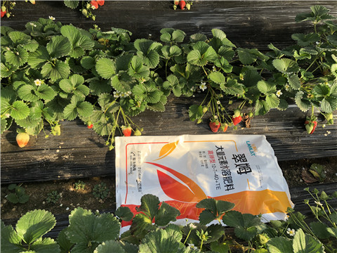 水溶肥，葉面肥，根碧多