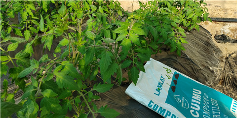 磷酸二氫鉀，鈣肥，水溶肥