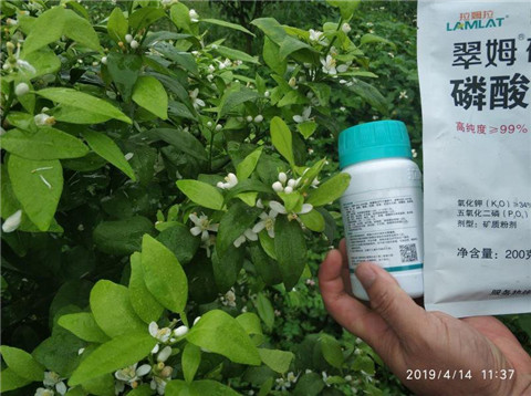 水溶肥，根碧多