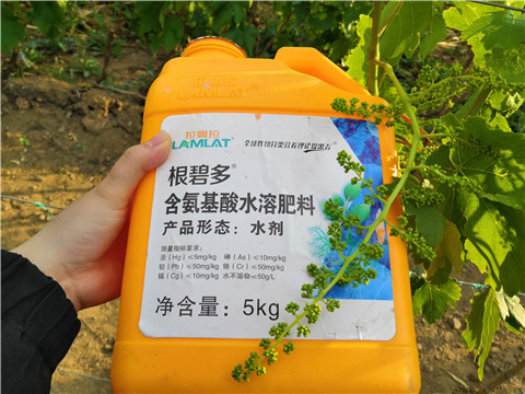 生根劑，微生物菌劑