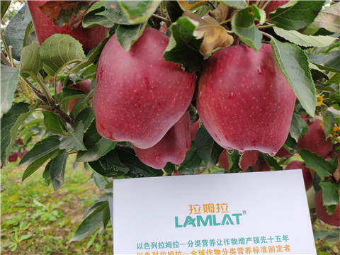 水溶肥 拉姆拉，翠姆