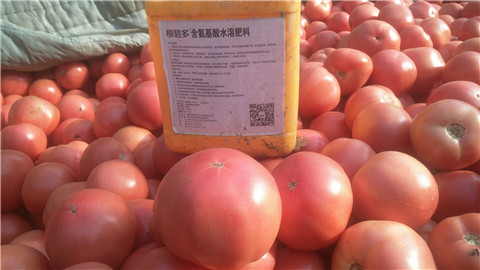 水溶肥，根碧多