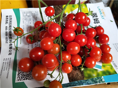 磷酸二氫鉀，鈣肥，根碧多