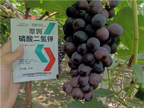 磷酸二氫鉀，葉面肥