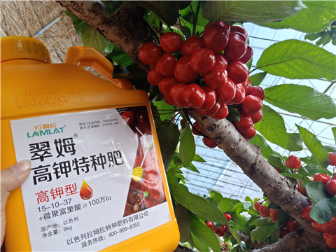 水溶肥，根碧多