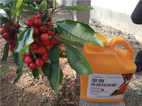 水溶肥，根碧多